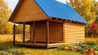 Баня 6×5 с террасой, 42 м²